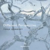 Different Perspective (feat. Bodil Lunde Rørtveit) - Single