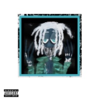 AUDIO LOBOTOMY - Single - Nibxl