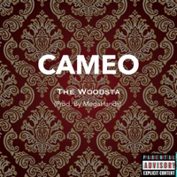 Cameo (feat. Shawn Don the Woodsta) - Single - Megahands