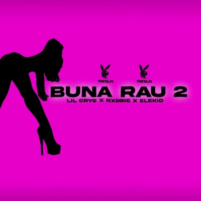 Buna rau 2 (feat. Lil Crys Rxbbie Elekid) [Special Version] - Single