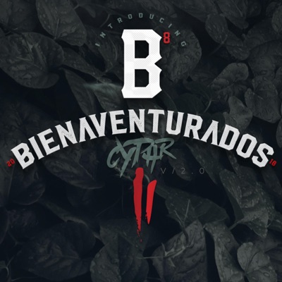 Bienaventurados (feat. Big Profecy, Siete Palabras, Elias The Preacher, Rokes, Wolf Chef, El Embajador, Mc Nery, Sangre de Rey, Doncella Van, Royal, Mc Liova, Sabor a Dios, Redeck, Sector 7 & Gamking) [Cypher 2] - Single