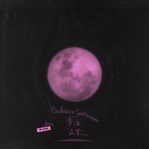 专属温柔 - Single