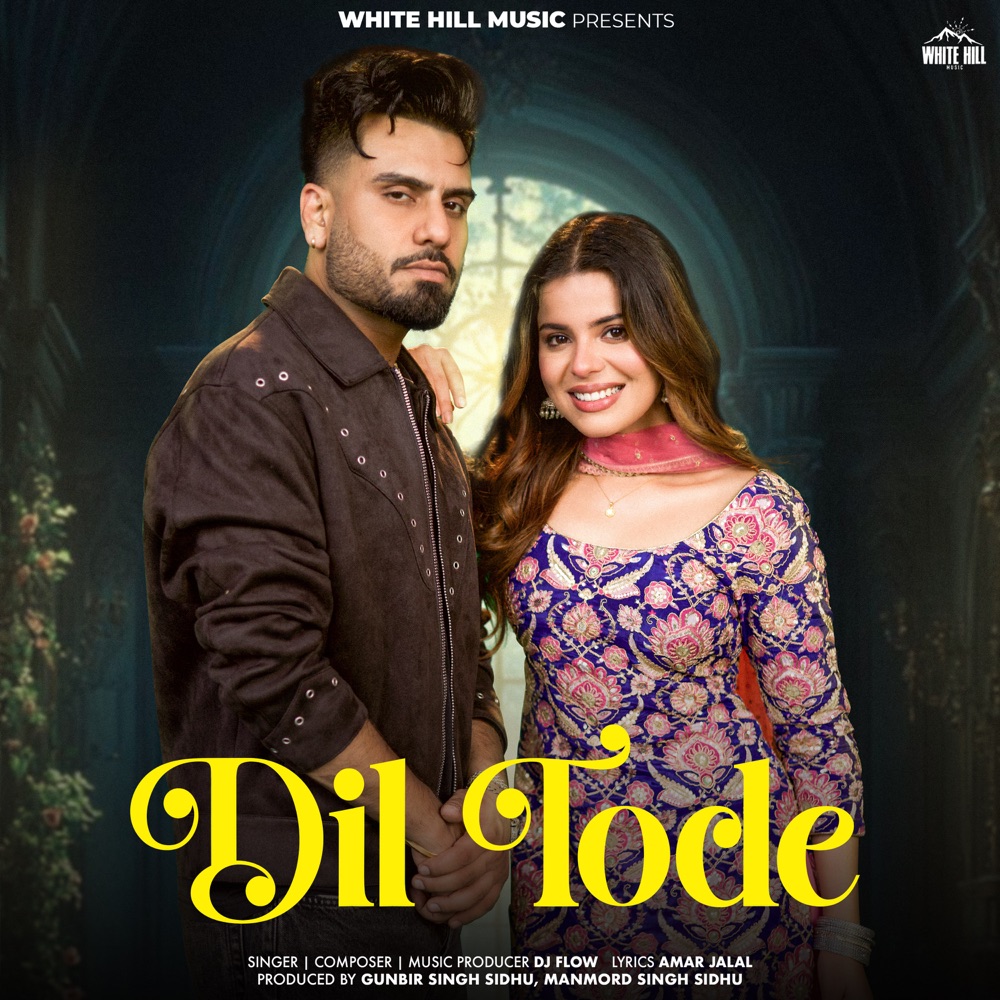 Обложка альбома «Dil Tode - Single» — DJ Flow