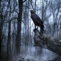 LONE (feat. Prod.wtfbennie) - Single - ODY$$EY