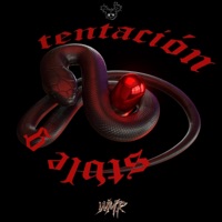 Tentación - Single - Stvle G & Vervak!