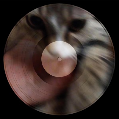 bring it bacc - Single