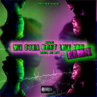 WE STILL DON'T LIKE YOU (Numba One Jayy Remix) - Single - Javinci