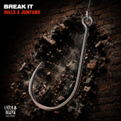Break It