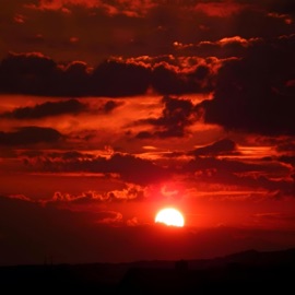 Never Satisfied ChaseWon