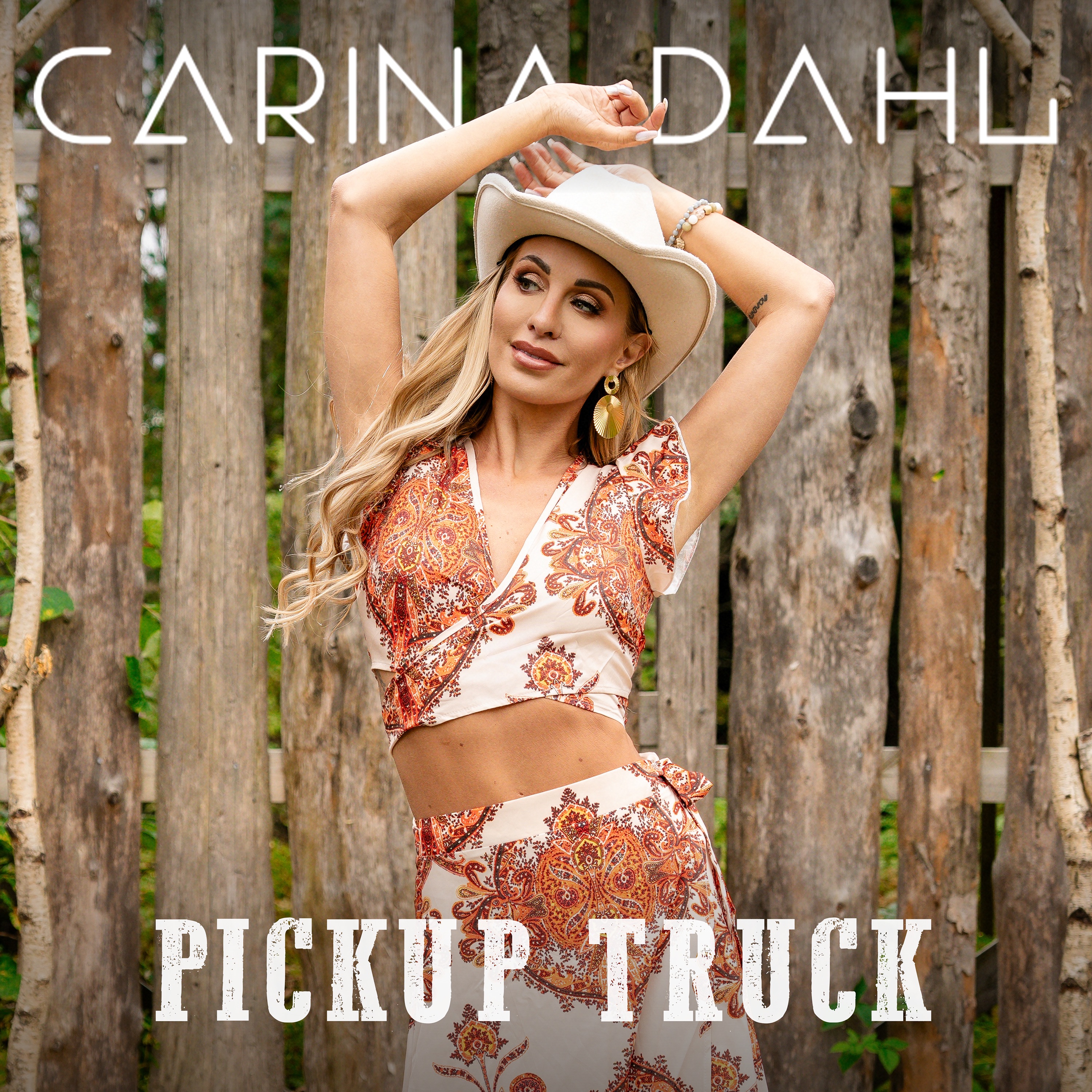 Pickup truck - Single