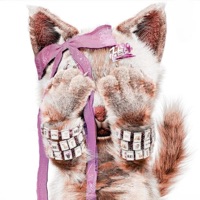 DONTWAIT4ME - EP - heyyalex