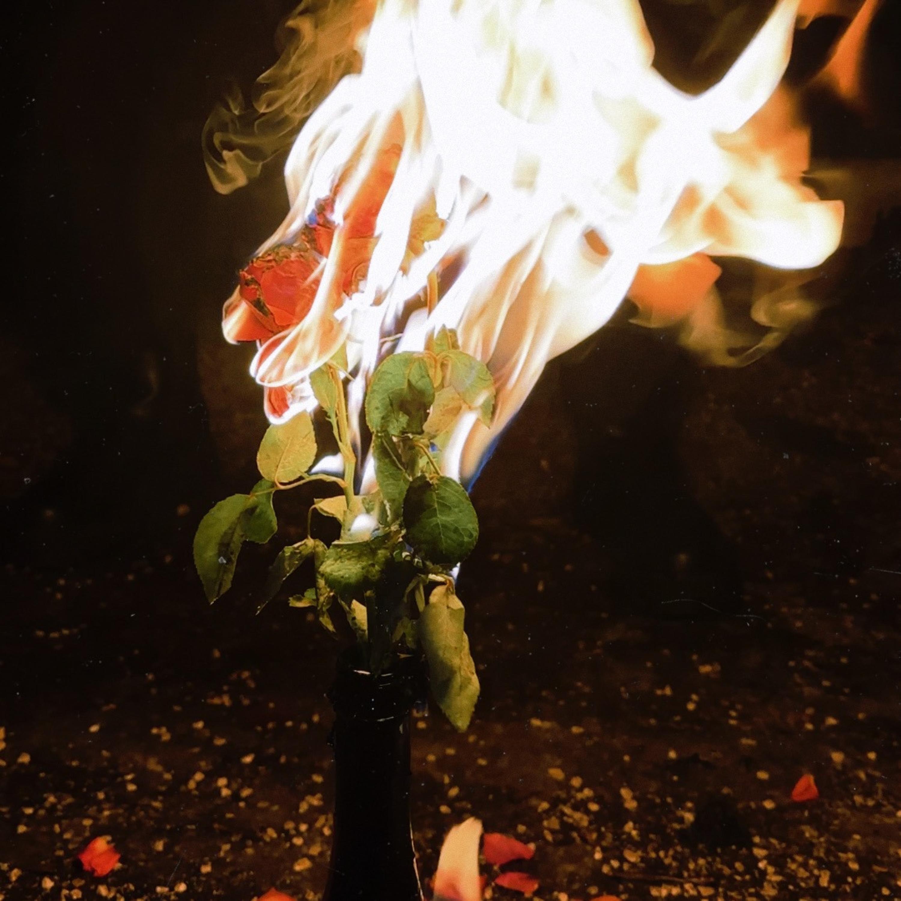 Yüreğim Kan Ağlar - Single