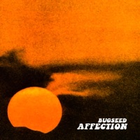 Affection - Bugseed