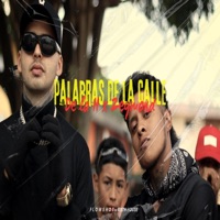 Palabras de la calle (feat. De la h) - Single - Zeymond company