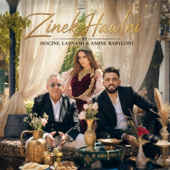 Zinek Hawlni (feat. Hocine Lasnami) song art