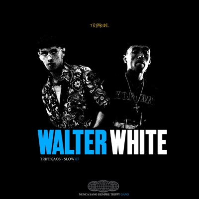 WALTER WHITE - Single