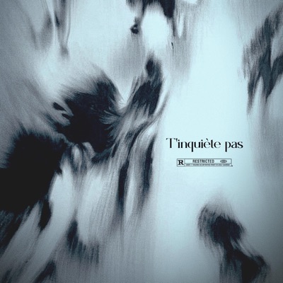 T'inquiète pas (feat. Frizzmusic) - Single
