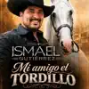 Ismael Gutierrez - Mi Amigo El Tordillo