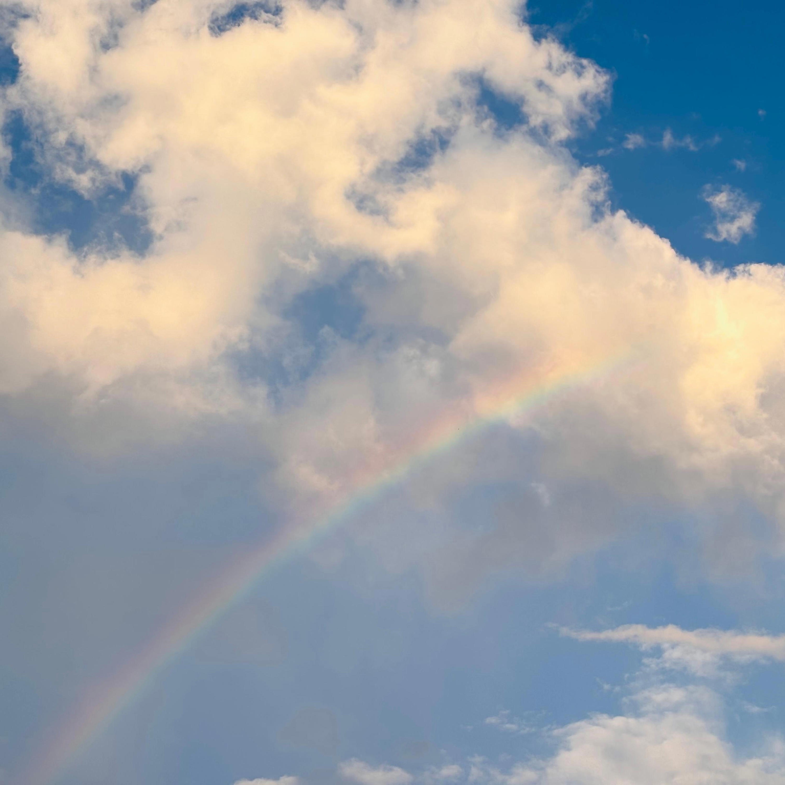 Nocturnal Rainbow - Rei Narita - Nocturnal Rainbow