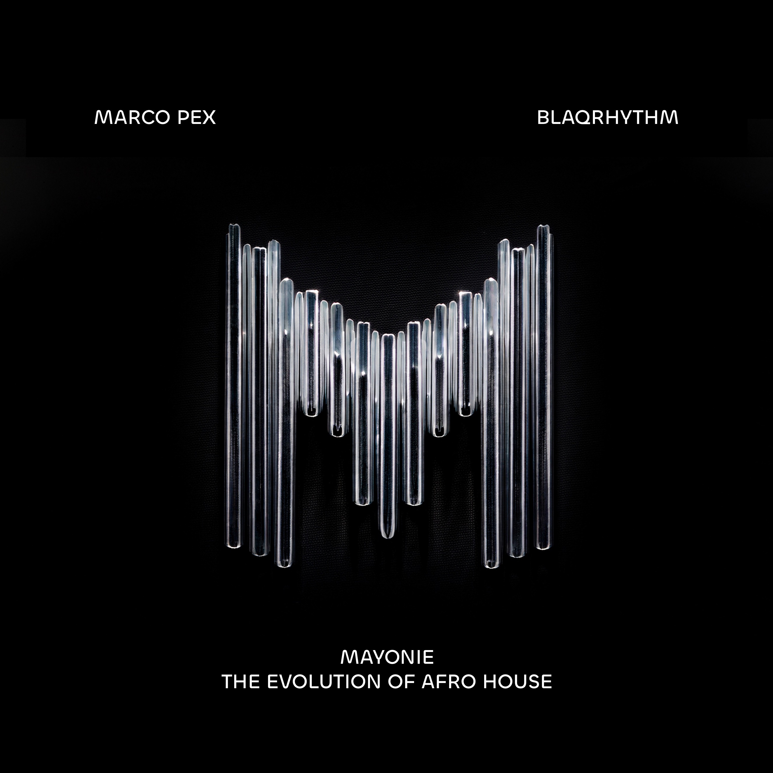 Evolution of Afro House