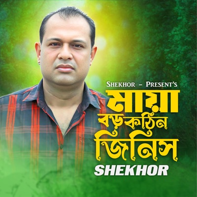 Song - Maya Boro Kothin Jinis - Shekhor