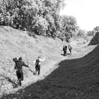 KOER SÖÖB KOERA - Single - Kirot & Kozinak