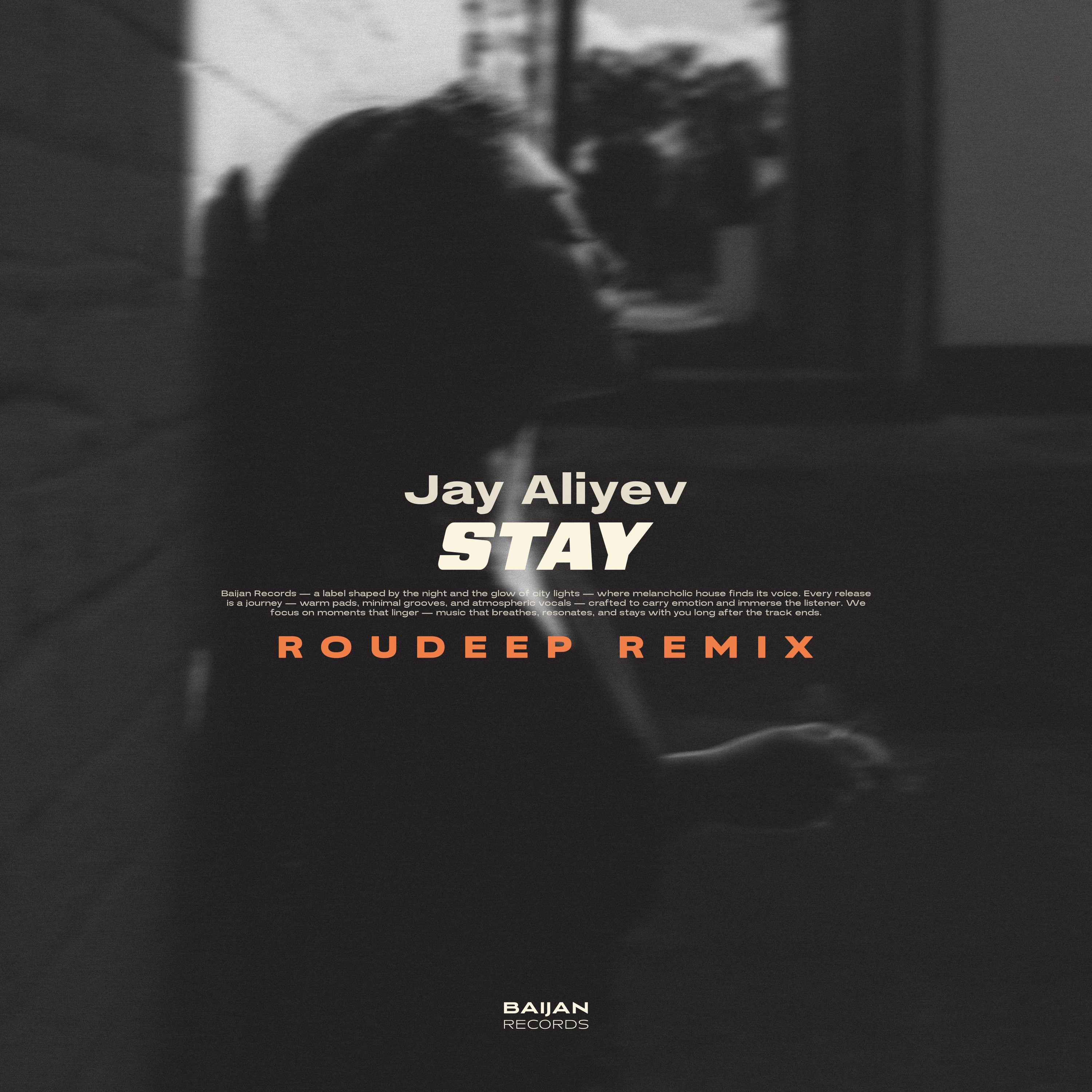 Stay (Roudeep Remix) - Single