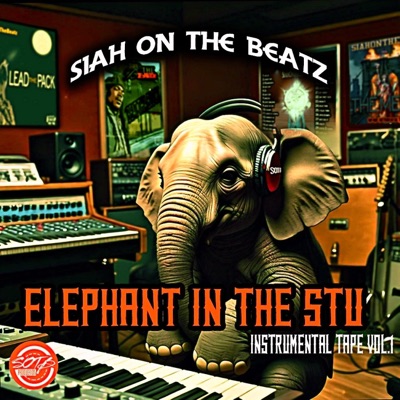 Elephant In The Stu