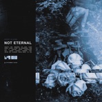 Not Eternal - Single