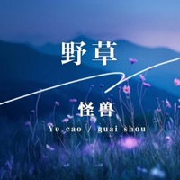 野草 - Single - Monster Wen