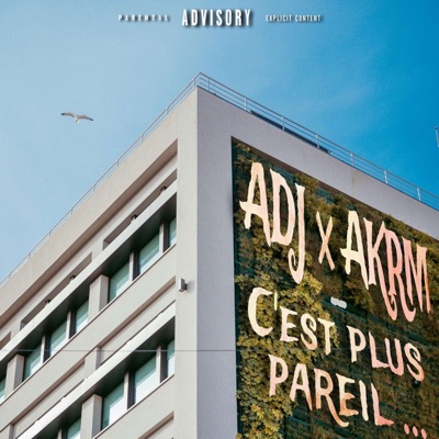 C'est plus pareil (feat. AKRM) - Single