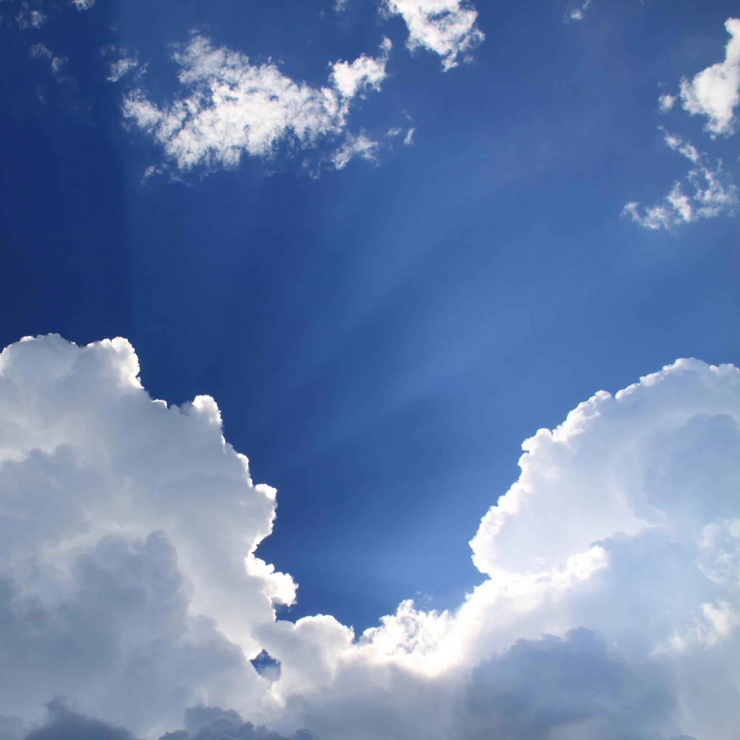 Chloe Bryce - Mo Mhallachd air na Caoraich Mhòr