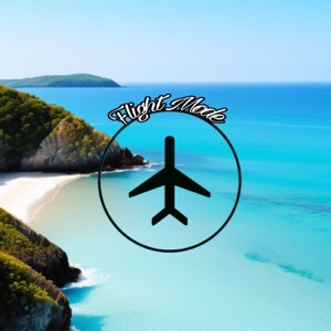 FLIGHT MODE