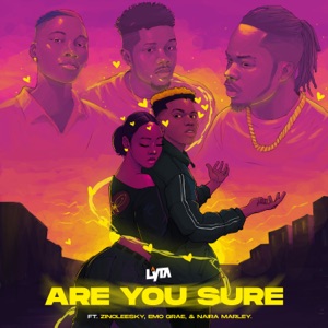 Are You Sure (feat. Naira Marley, EMO Grae & Zinoleesky)