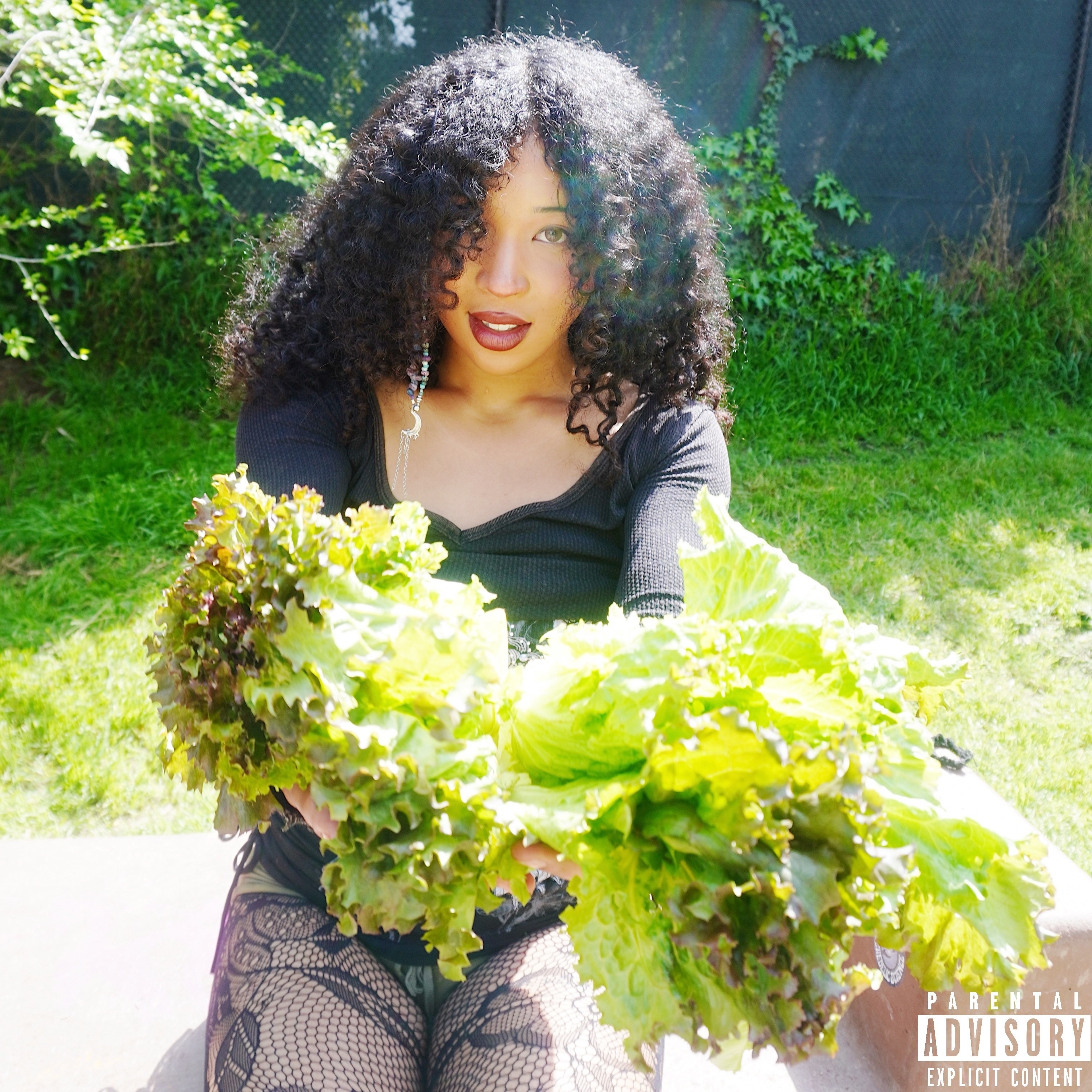 lettuce lungs - Single