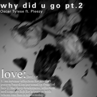 why did u go pt. 2 - Single