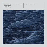 Scarborough Fair — Arianna Savall, Petter Udland Johansen & Hirundo Maris