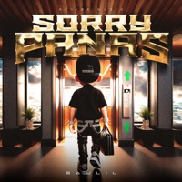 Sorry Panas - Single - Saulil