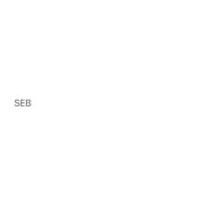 SEB — Paloma Morphy