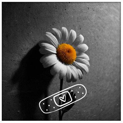 Poco a Poquito - Single