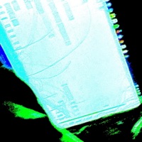 MINDYOURBUSINESS! (feat. Eternø!) - Single - lunie