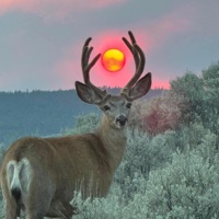 spring - Single - theylovesora