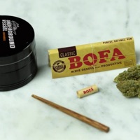 Bofa (feat. Productive MusiQ Sa) - Single - Nizhe DeSoul