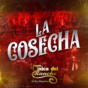 La Cosecha