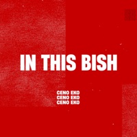 In This Bish - Single - EKO & DJ CeNo