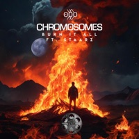 Burn It All - Single - Chromosomes, Think Up Anger & Staarz