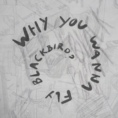 FLY BLACKBIRD - Single