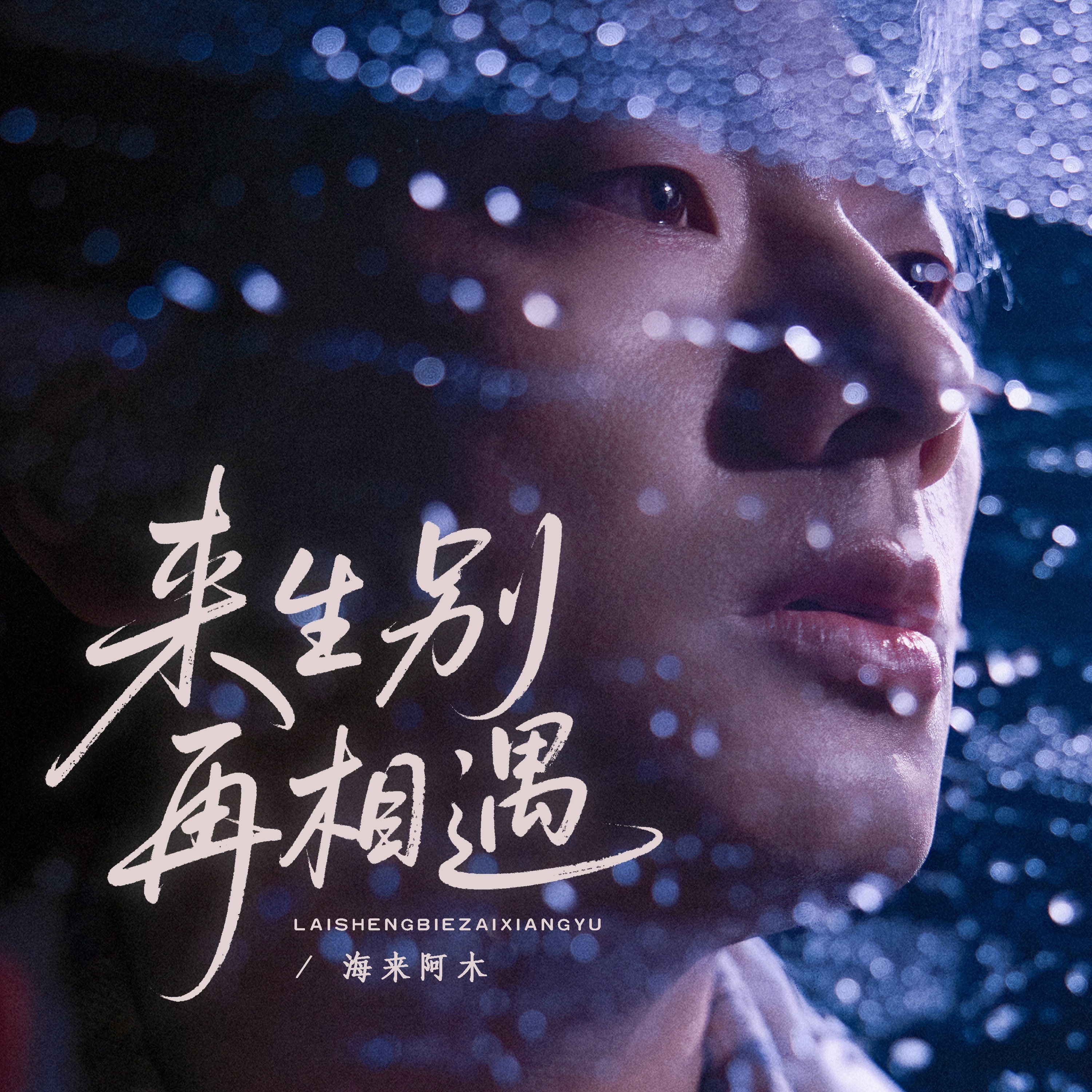 来生别再相遇 - Single