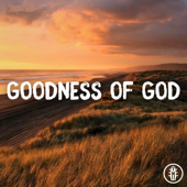 Goodness of God - Acoustic Instrumental
