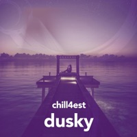 Dusky - Single - Chill4est